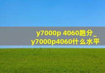 y7000p 4060跑分_y7000p4060什么水平